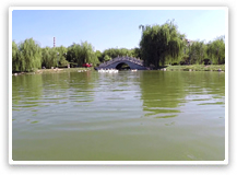 廠區(qū)風(fēng)景