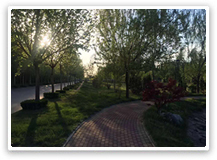 廠區(qū)風(fēng)景