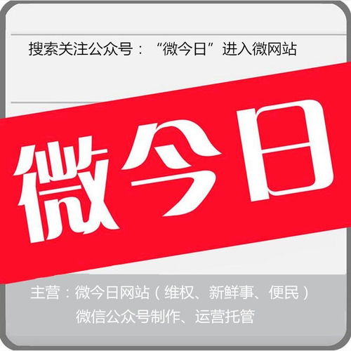 合肥市微今日網(wǎng)絡(luò)服務(wù) 驅(qū)動城市數(shù)字化轉(zhuǎn)型的智慧引擎